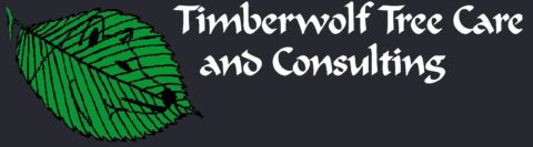 Timberwolf Tree Care Inc